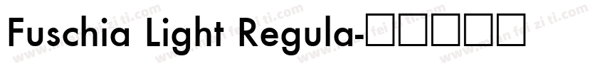 Fuschia Light Regula字体转换